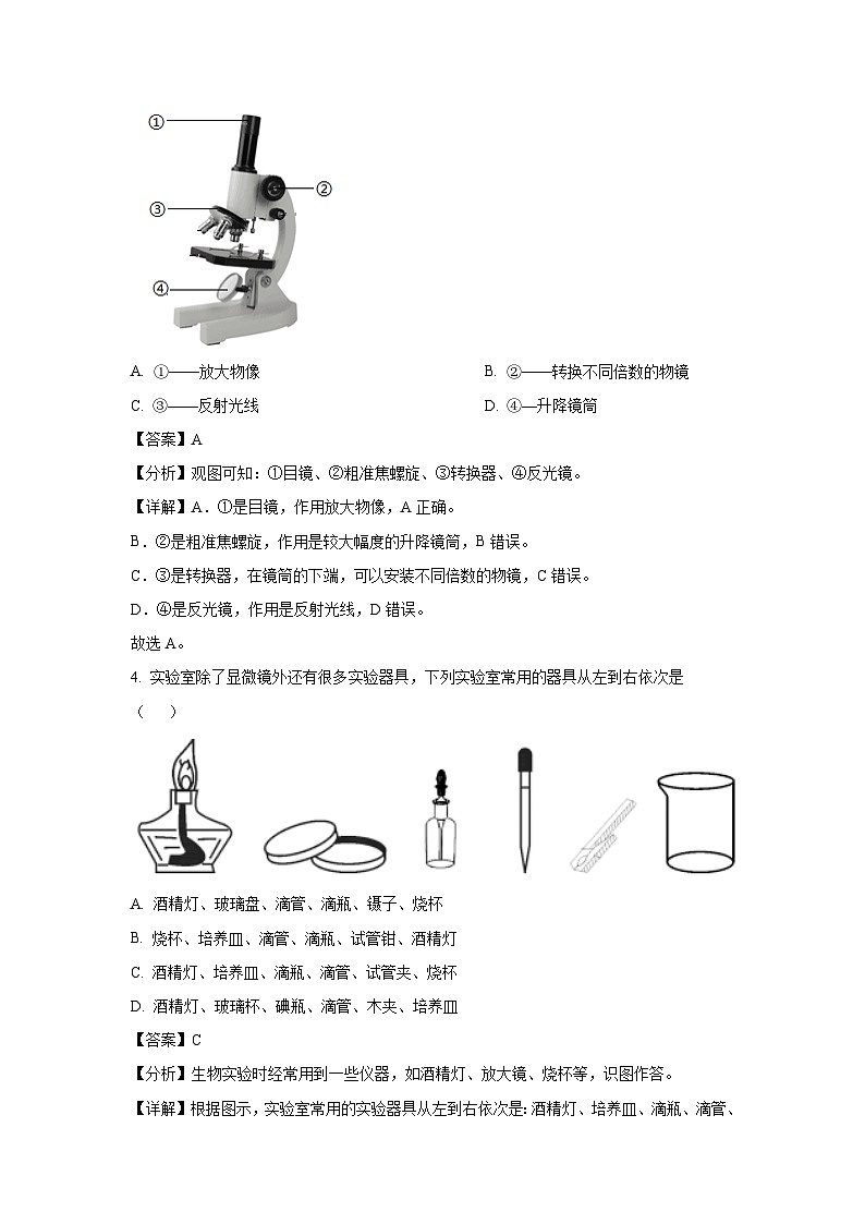 2024-2025学年辽宁省沈阳市于洪区七年级(上)期中生物试卷(解析版)第2页