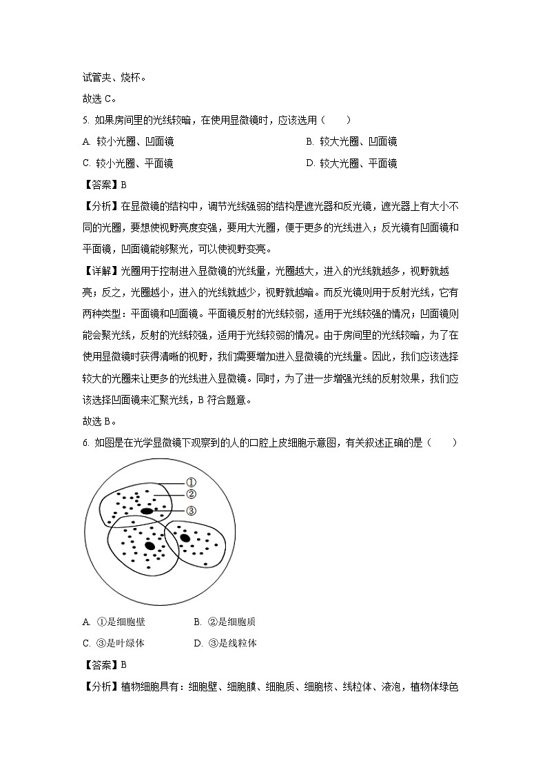 2024-2025学年辽宁省沈阳市于洪区七年级(上)期中生物试卷(解析版)第3页