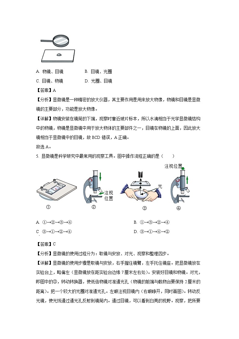 2024-2025学年贵州省六盘水市七年级(上)期中生物试卷(解析版)第3页