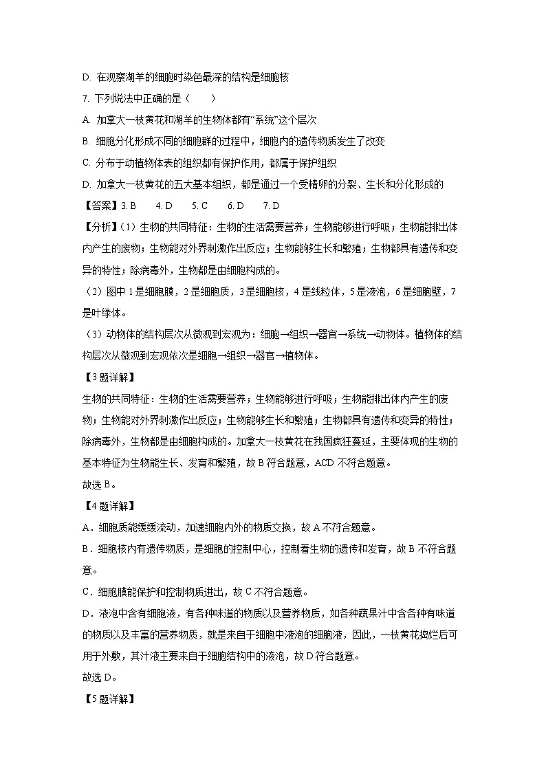 2024-2025学年湖北省黄石市黄石市教联体七年级(上)期中生物试卷(解析版)第3页