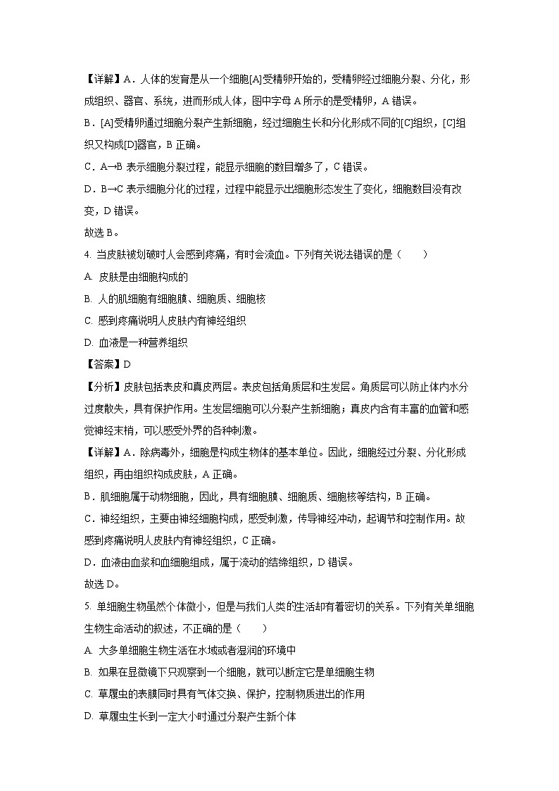 2024-2025学年湖北省荆门市沙洋县七年级(上)期中生物试卷(解析版)第3页