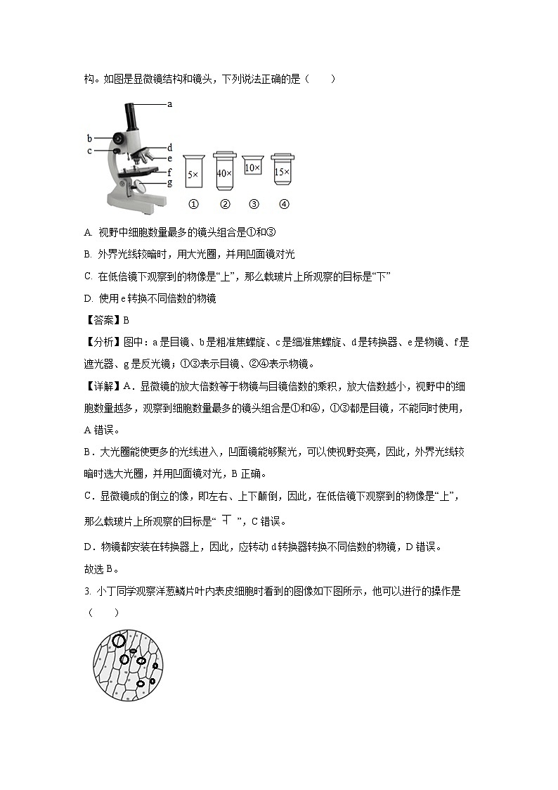 2023-2024学年江苏省南通市通州区金北学校七年级(上)期末模拟生物试卷(解析版)第2页
