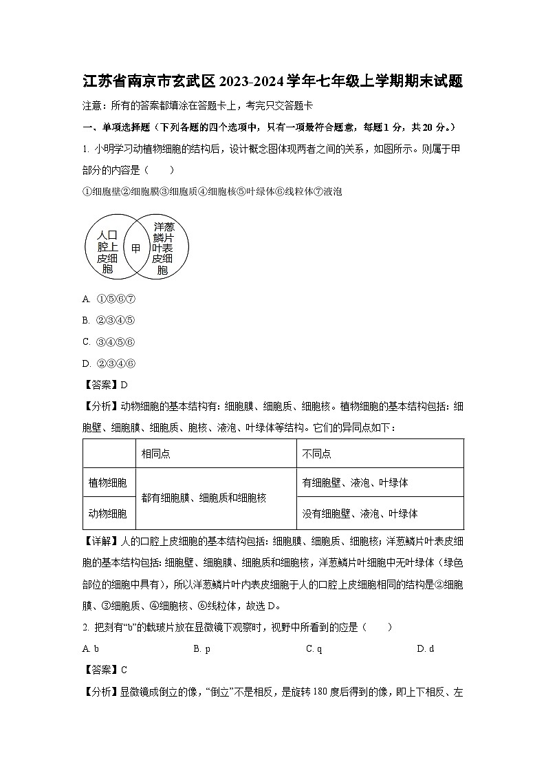 2023-2024学年江苏省南京市玄武区七年级(上)期末生物试卷(解析版)第1页
