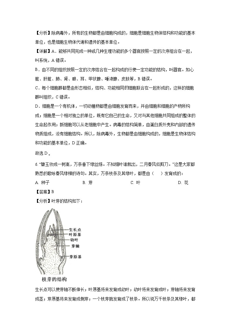 2023-2024学年江苏省南京市玄武区七年级(上)期末生物试卷(解析版)第3页