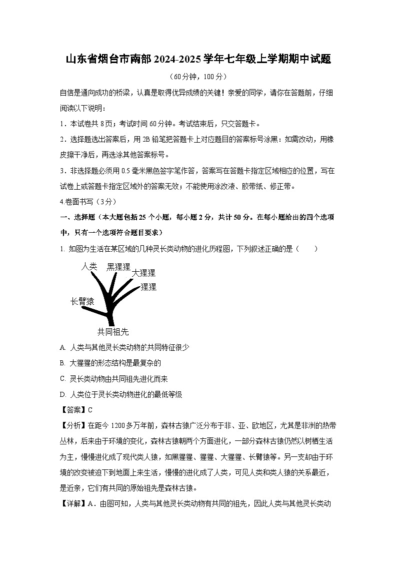 2024-2025学年山东省烟台市南部七年级(上)期中生物试卷(解析版)第1页