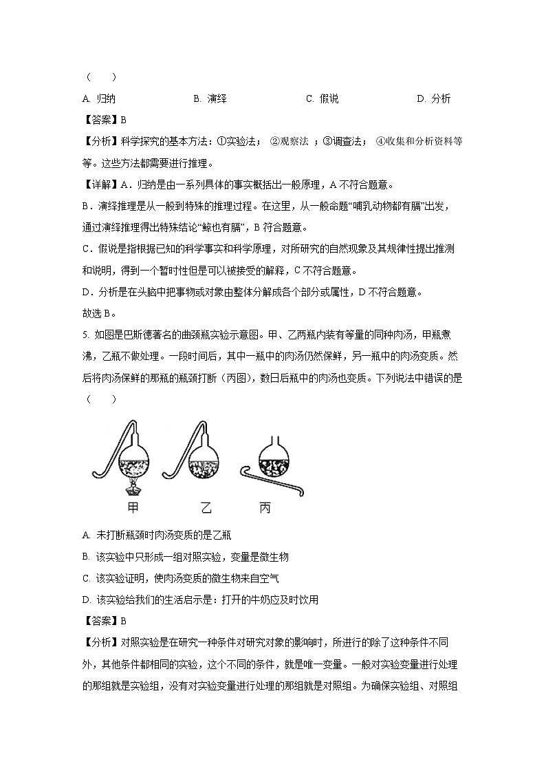 2024-2025学年山东省滨州市滨城区七年级(上)期中生物试卷(解析版)第3页
