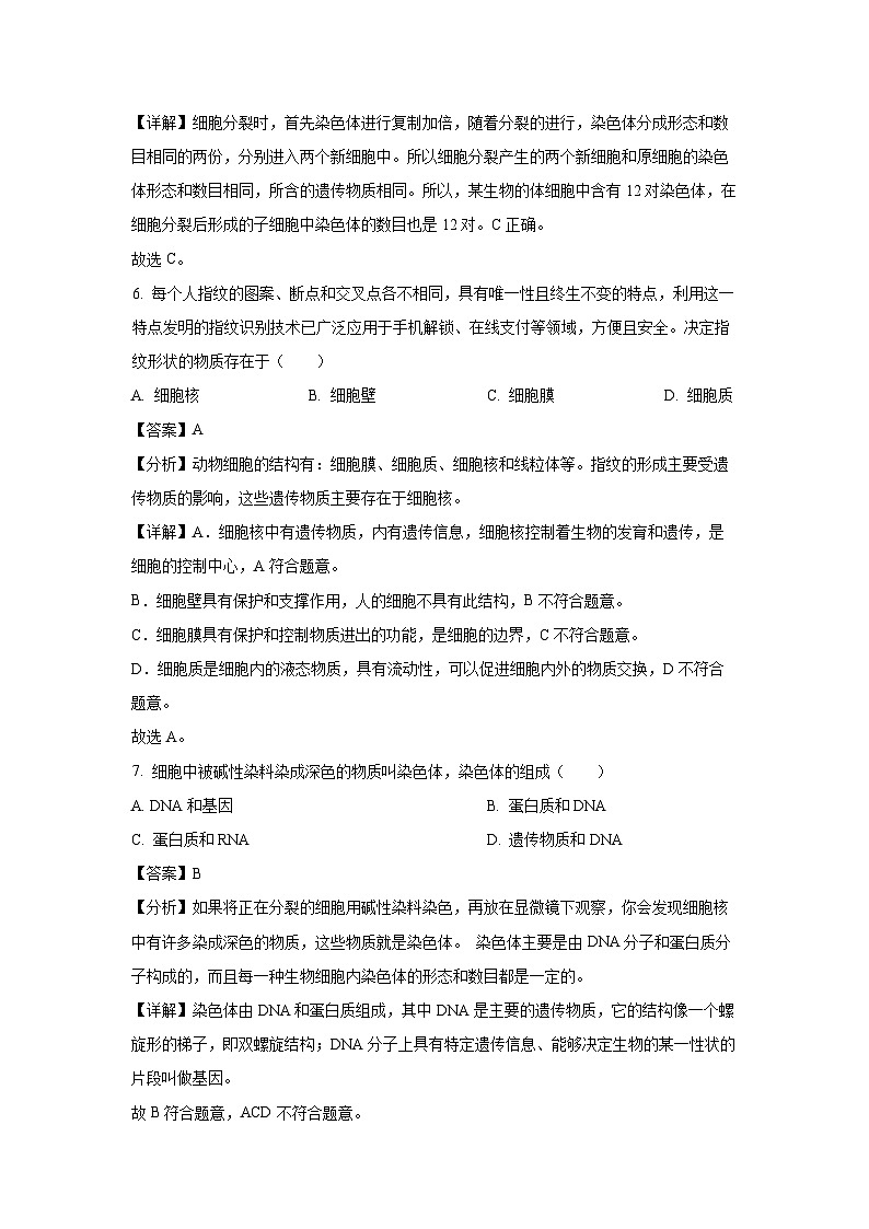 2024-2025学年天津市北辰区第三学区七年级(上)期中生物试卷(解析版)第3页