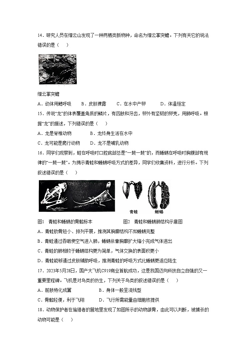 2024-2025学年云南省昭通市昭阳区八年级(上)期中生物试卷第3页