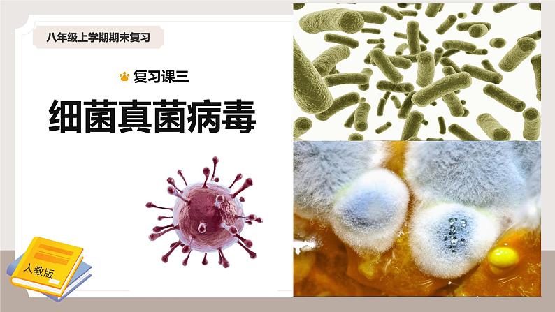 人教版生物八年级上册《细菌、真菌和病毒》课件第1页