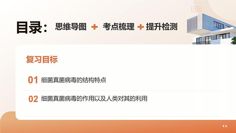 人教版生物八年级上册《细菌、真菌和病毒》课件第2页