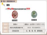 人教版生物八年级上册《细菌、真菌和病毒》课件