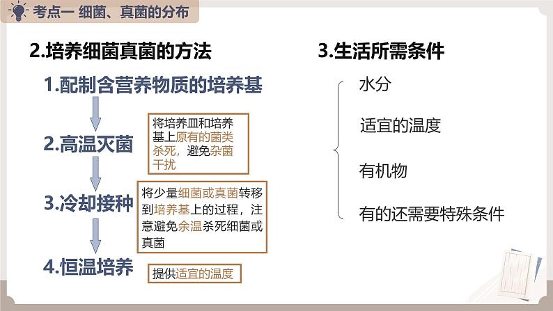 人教版生物八年级上册《细菌、真菌和病毒》课件第5页