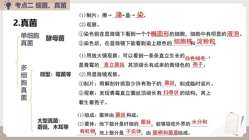 人教版生物八年级上册《细菌、真菌和病毒》课件第8页