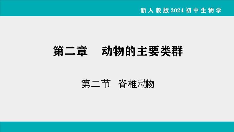 人教版生物七年级上册2.2.2《脊椎动物》课件第1课时课件第1页