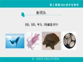 人教版生物七年级上册2.2.2《脊椎动物》课件第1课时课件