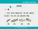 人教版生物七年级上册2.2.2《脊椎动物》课件第1课时课件
