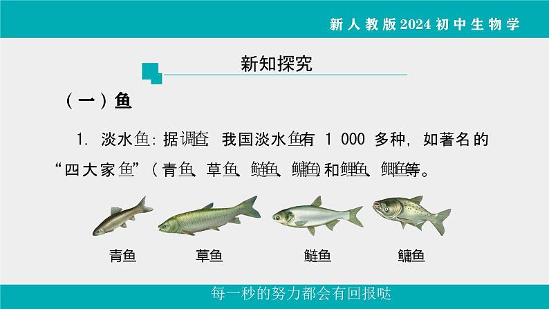 人教版生物七年级上册2.2.2《脊椎动物》课件第1课时课件第4页