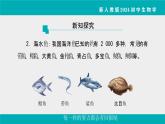 人教版生物七年级上册2.2.2《脊椎动物》课件第1课时课件