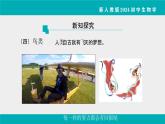 人教版生物七年级上册2.2.2《脊椎动物》课件第2课时课件