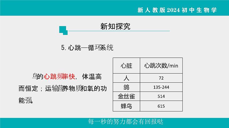 人教版生物七年级上册2.2.2《脊椎动物》课件第2课时课件第8页