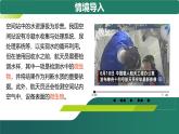 人教版生物七年级上册2.3.1《微生物的分布》（课件）