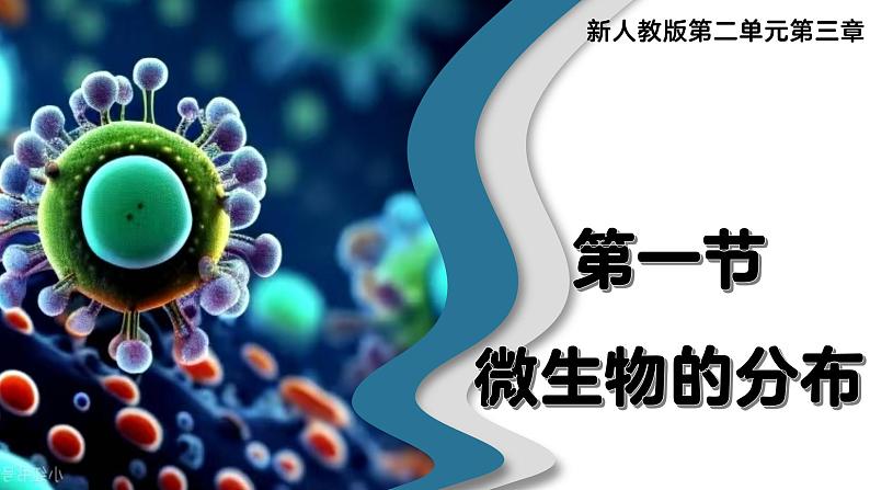 人教版生物七年级上册2.3.1《微生物的分布》（课件）第2页