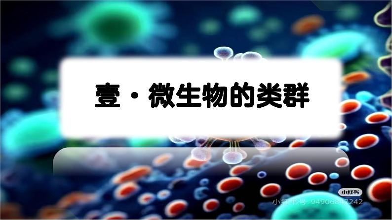 人教版生物七年级上册2.3.1《微生物的分布》（课件）第4页