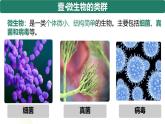 人教版生物七年级上册2.3.1《微生物的分布》（课件）