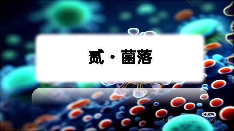 人教版生物七年级上册2.3.1《微生物的分布》（课件）第8页