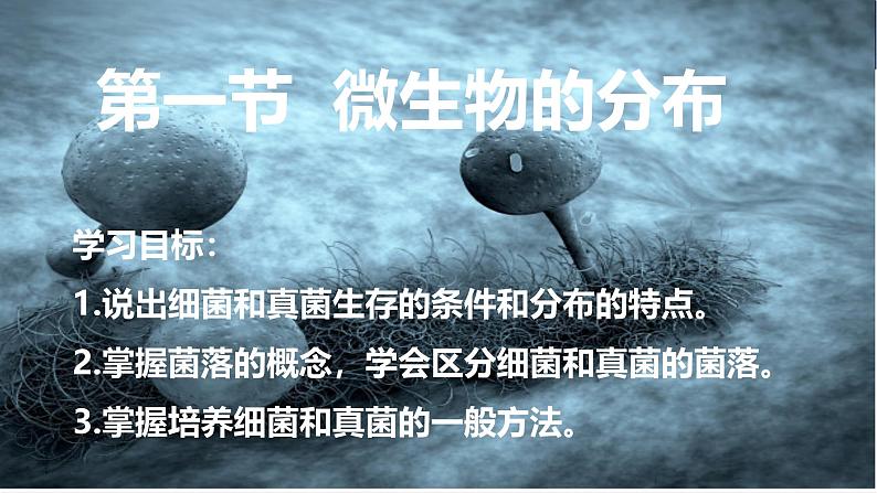 人教版生物七年级上册2.3.1《微生物的分布》教学课件第2页