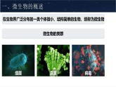 人教版生物七年级上册2.3.1《微生物的分布》教学课件