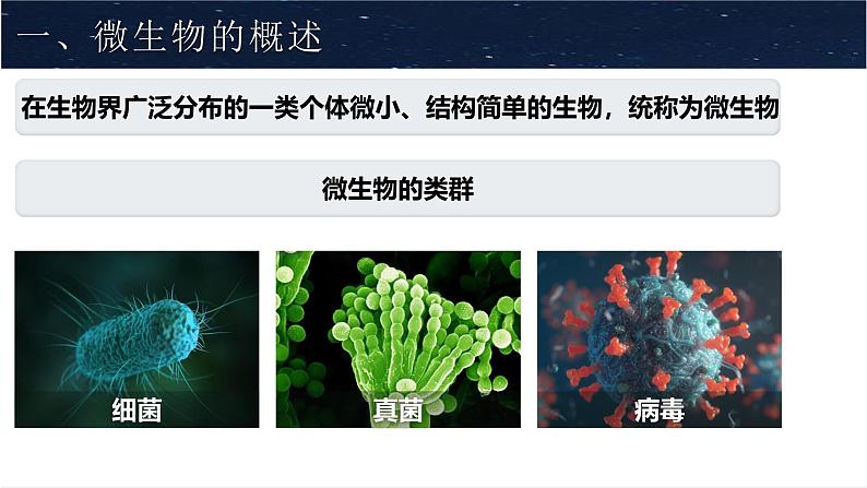 人教版生物七年级上册2.3.1《微生物的分布》教学课件第3页