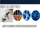 人教版生物七年级上册2.3.1《微生物的分布》教学课件