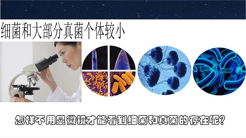 人教版生物七年级上册2.3.1《微生物的分布》教学课件第5页