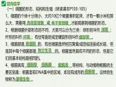 人教版生物七年级上册2.3.2《细菌》（教学课件）