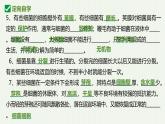 人教版生物七年级上册2.3.2《细菌》（教学课件）