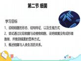 人教版生物七年级上册2.3.2《细菌》（课件）