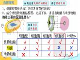 人教版生物七年级上册2.3.2《细菌》（课件）