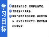 人教版生物七年级上册2.3.2《细菌》课件