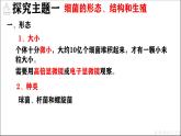 人教版生物七年级上册2.3.2《细菌》课件