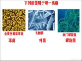 人教版生物七年级上册2.3.2《细菌》课件