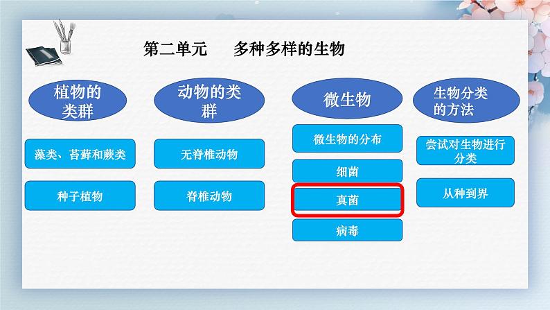 人教版生物七年级上册2.3.3《真菌》（教学课件）第1页