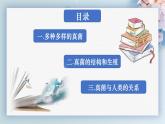 人教版生物七年级上册2.3.3《真菌》（教学课件）