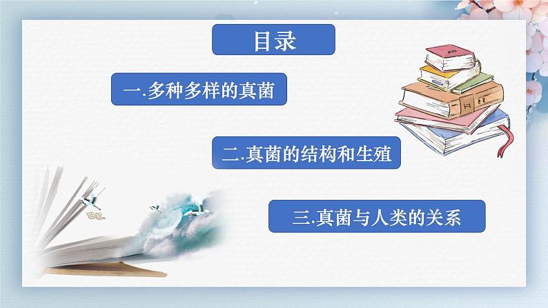 人教版生物七年级上册2.3.3《真菌》（教学课件）第5页