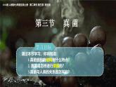 人教版生物七年级上册2.3.3《真菌》（课件）