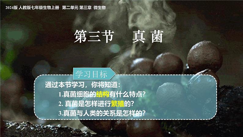 人教版生物七年级上册2.3.3《真菌》（课件）第2页