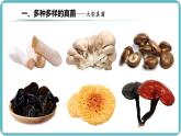 人教版生物七年级上册2.3.3《真菌》（课件）