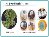 人教版生物七年级上册2.3.3《真菌》（课件）