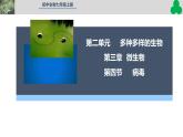 人教版生物七年级上册2.3.4《病毒》（教学课件）