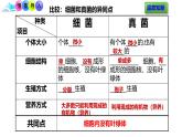 人教版生物七年级上册2.3.4《病毒》（教学课件）